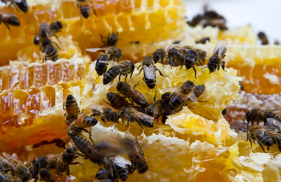 screenshot 20220705 105019