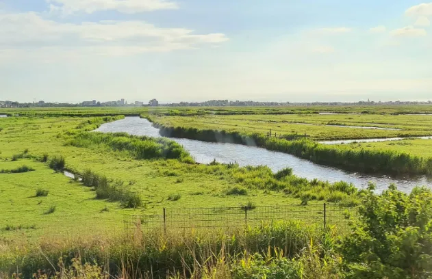 screenshot 20220710 111931