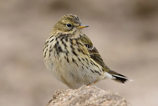 screenshot 20220725 144802