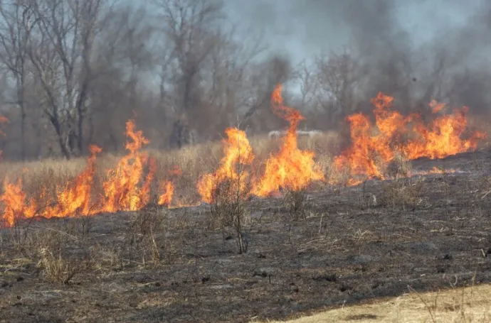 screenshot 20220725 163848