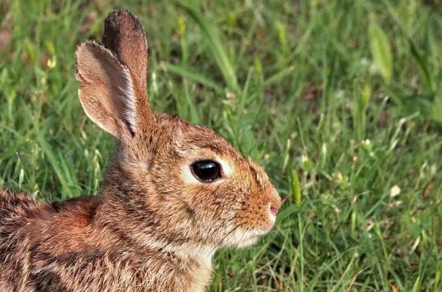 screenshot 20220728 115430