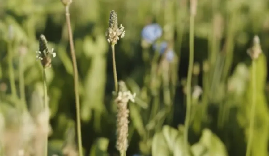 screenshot 20220731 071652