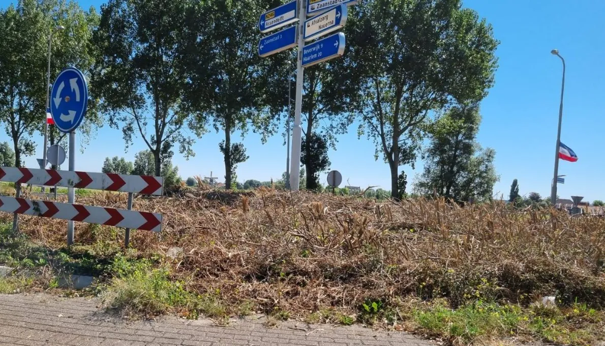 screenshot 20220815 083650