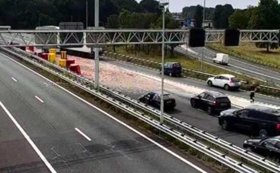 screenshot 20220815 135139