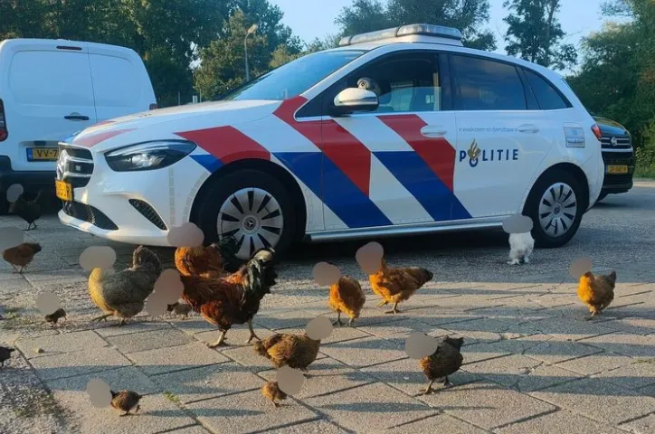 screenshot 20220819 125148