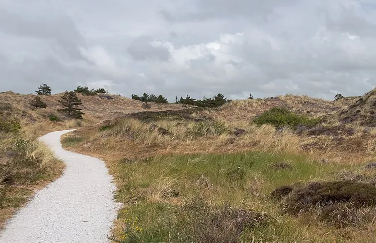 screenshot 20220823 094650