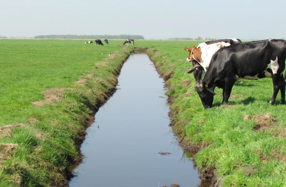 screenshot 20220902 110753