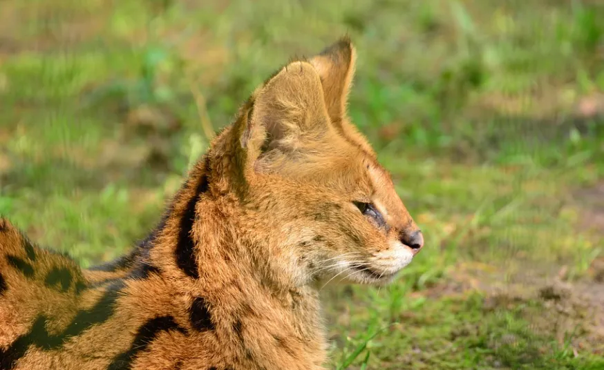 screenshot 20220904 100204