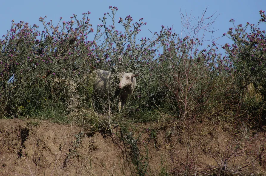 screenshot 20220904 143025