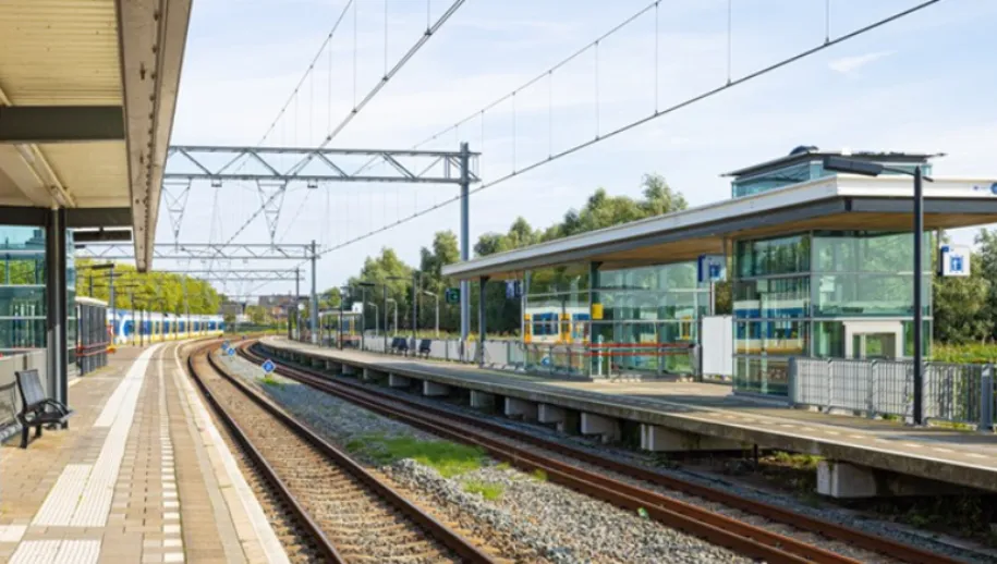 screenshot 20220911 135042 915x518 1