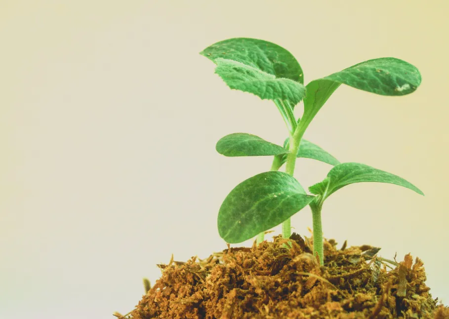 screenshot 20220929 125906