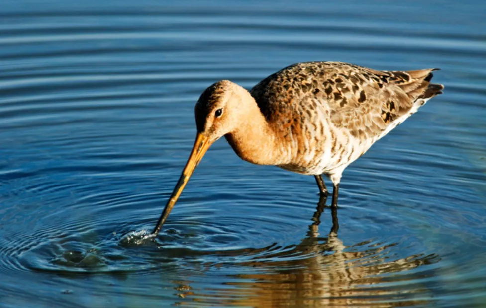 screenshot 20220930 102351