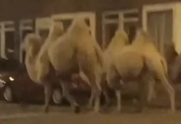 screenshot 20221013 165228