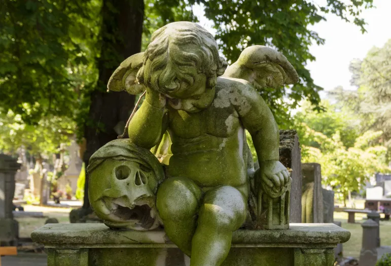 screenshot 20221017 165234