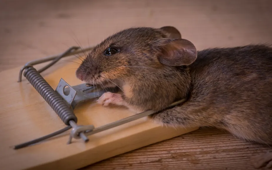 screenshot 20221101 131815