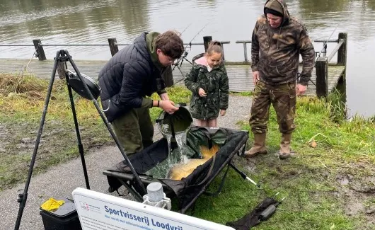 screenshot 20221109 125254