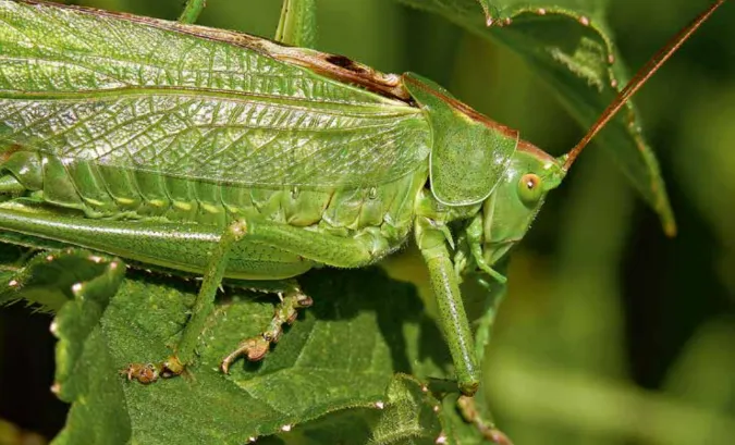 screenshot 20221109 140230