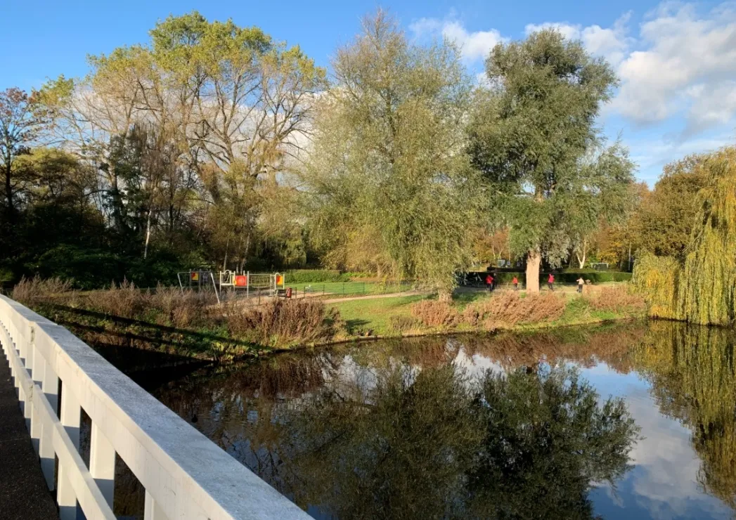 screenshot 20221110 172454