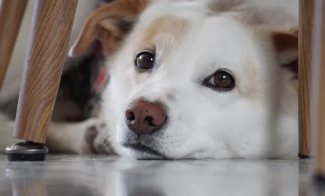 screenshot 20221113 131954