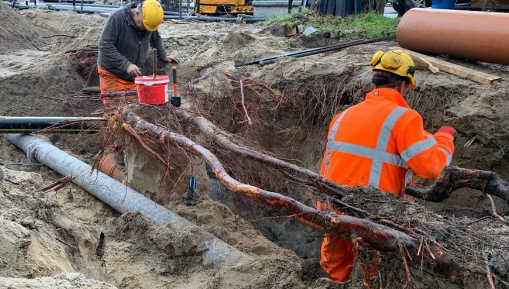 screenshot 20221113 141223