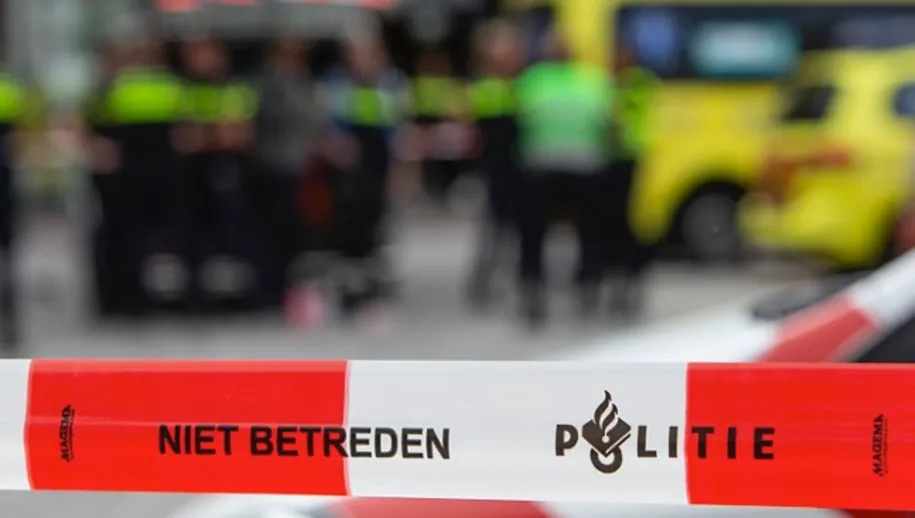 screenshot 20221124 180853 915x518 1