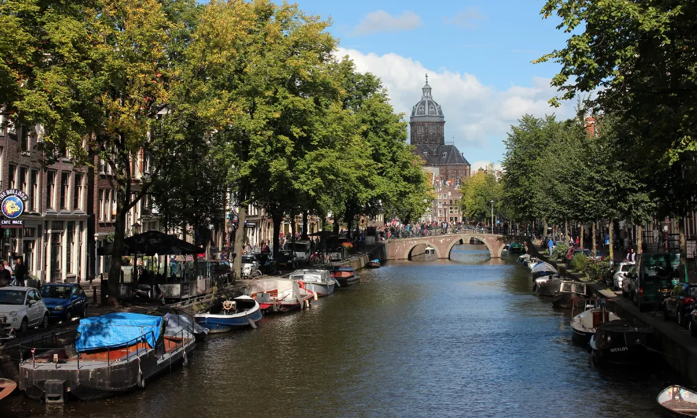 screenshot 20221129 155659