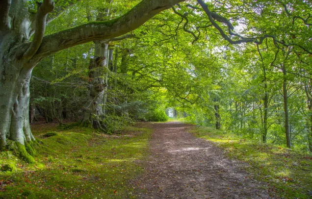 screenshot 20221130 142556