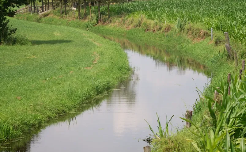 screenshot 20221205 160844