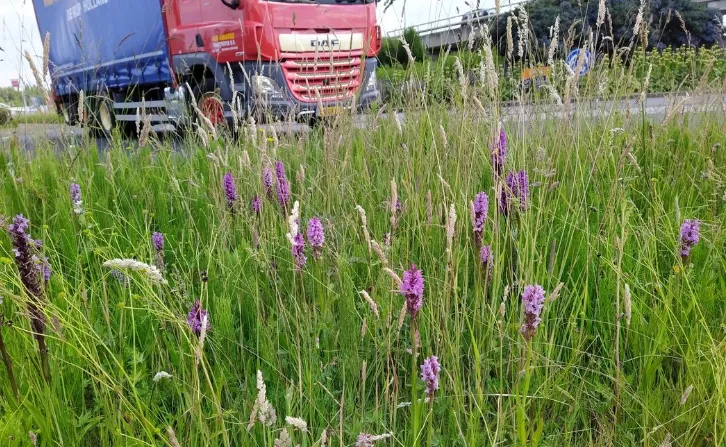 screenshot 20221209 110652