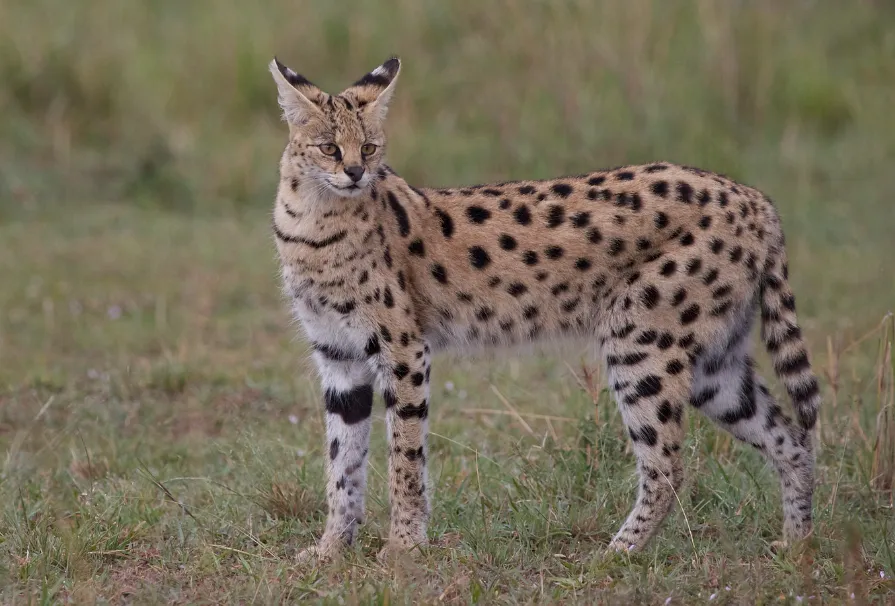 screenshot 20221212 104940