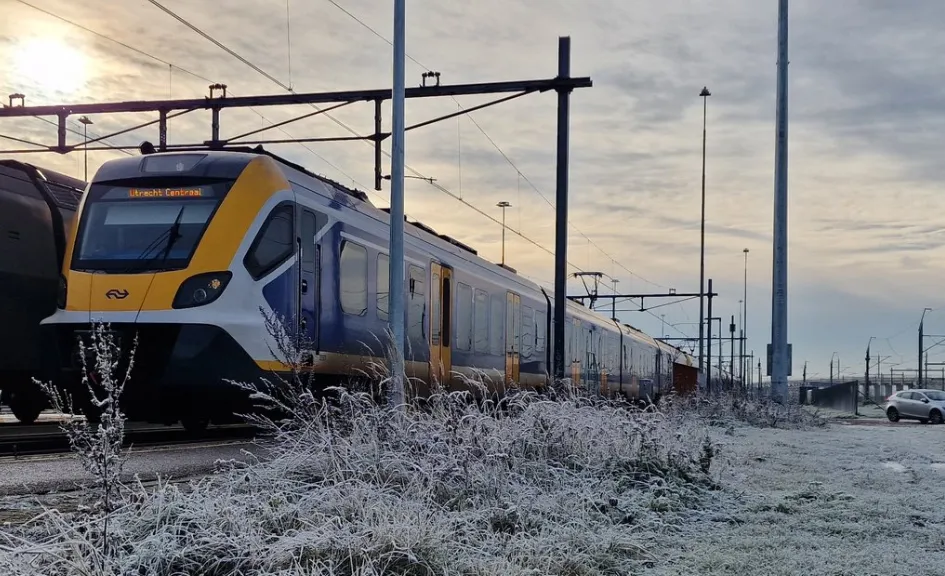 screenshot 20221213 181515