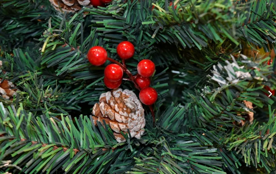 screenshot 20221228 114148