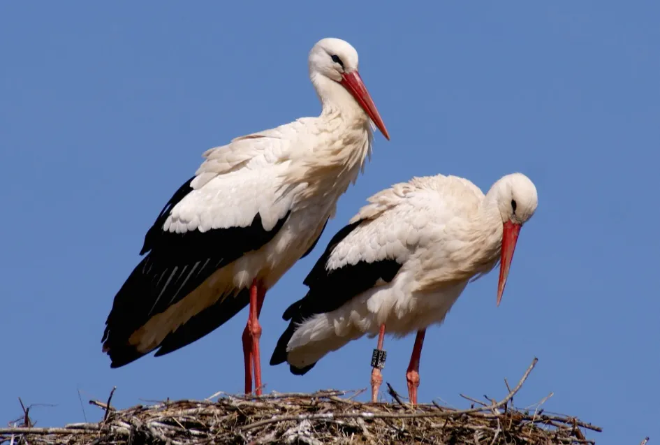 screenshot 20221230 103919