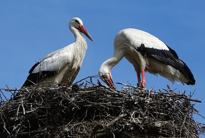 screenshot 20230114 103643