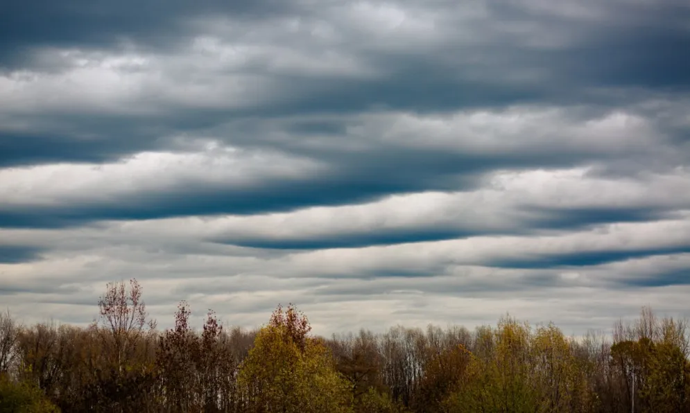 screenshot 20230114 123727