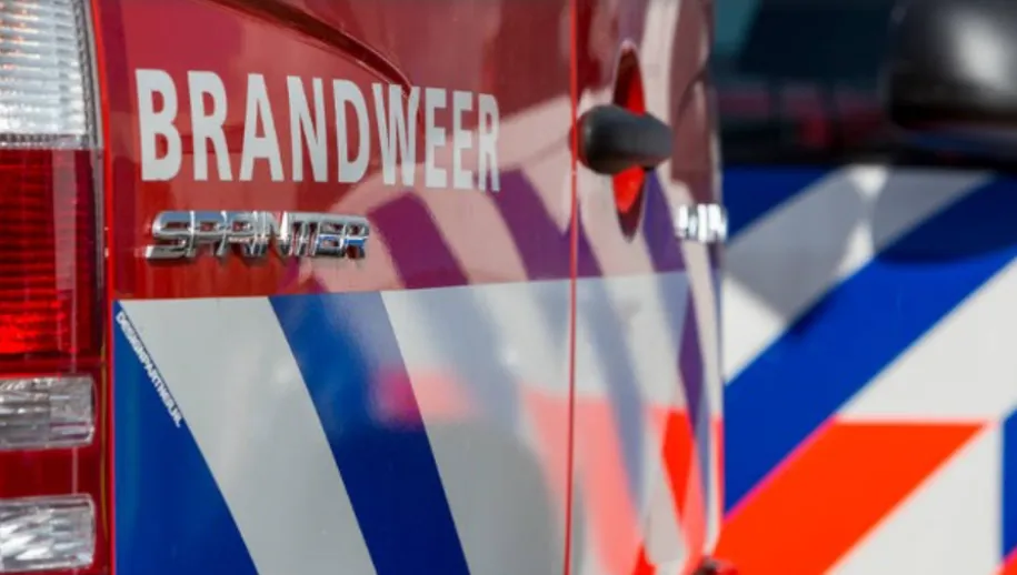 screenshot 20230117 105930 915x518 1 915x518 1