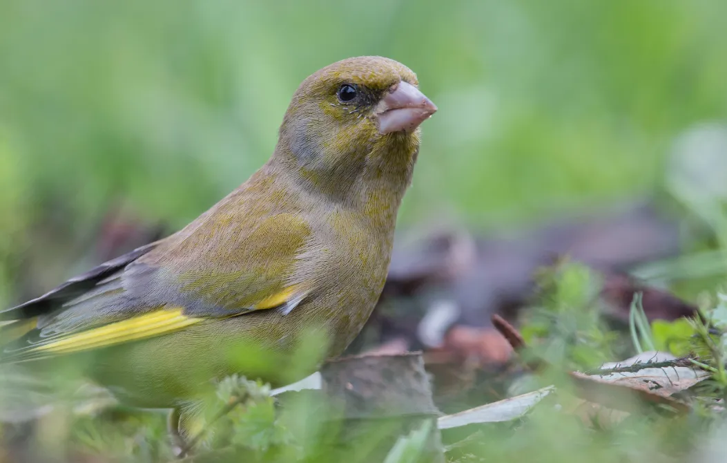 screenshot 20230130 102120