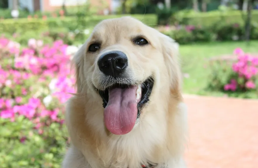 screenshot 20230208 124303