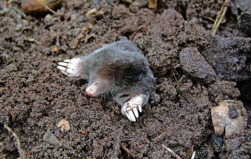 screenshot 20230211 094653