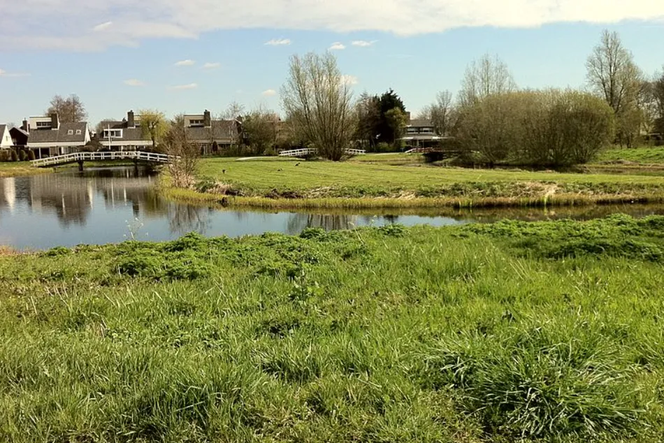 screenshot 20230223 165048