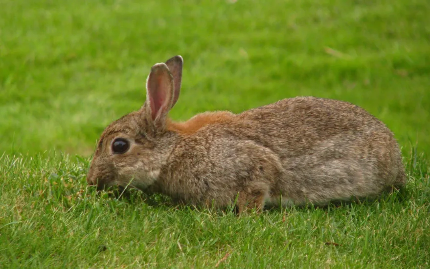 screenshot 20230301 135929