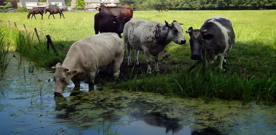 screenshot 20230305 094516