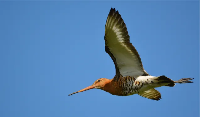 screenshot 20230308 094846