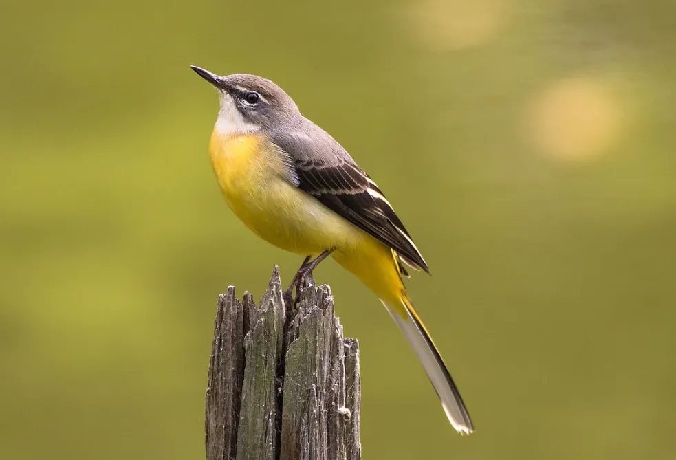 screenshot 20230313 122640