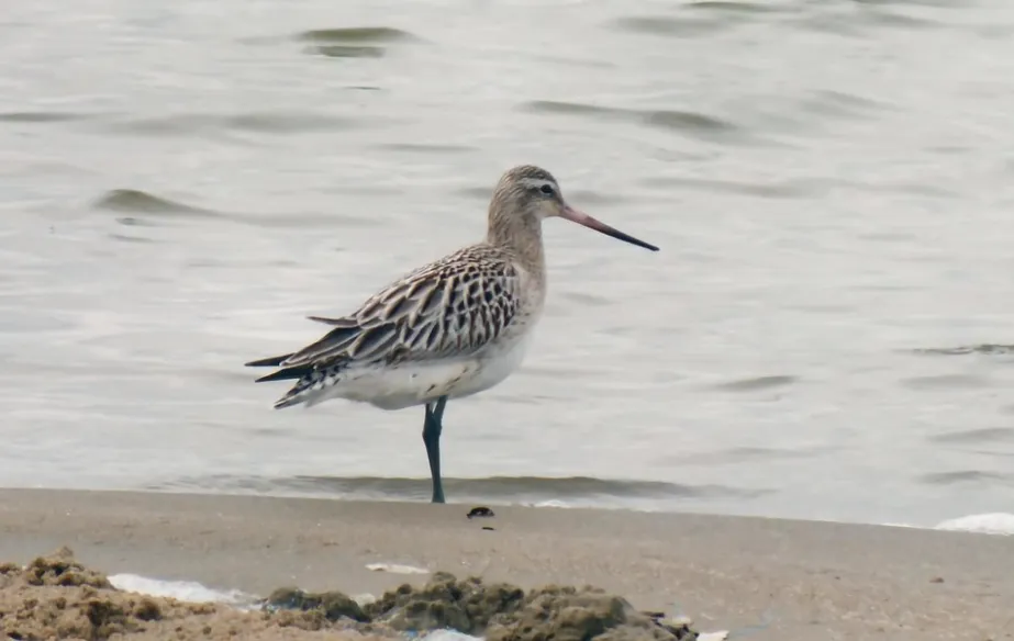 screenshot 20230415 122004