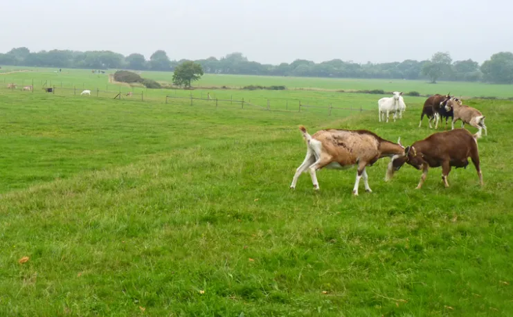 screenshot 20230420 112759