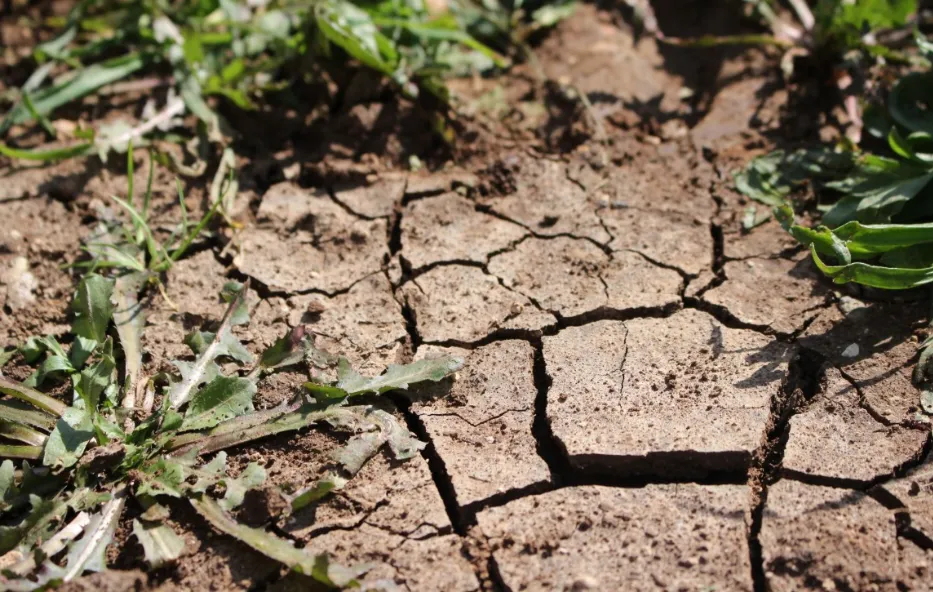 screenshot 20230423 113921