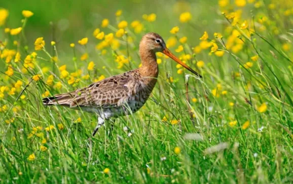 screenshot 20230426 122819