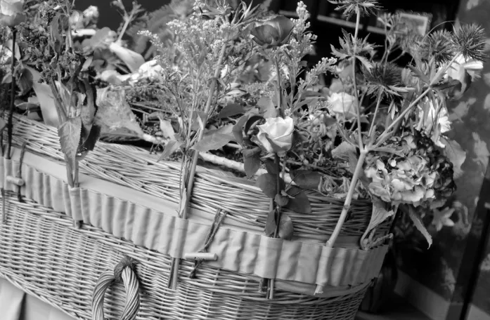 screenshot 20230426 124941