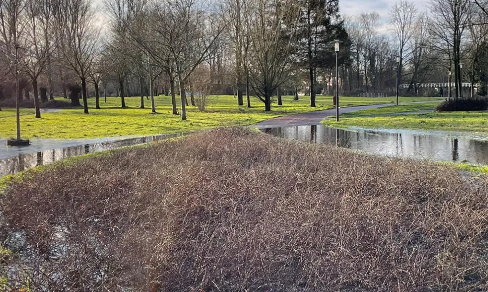 screenshot 20230501 102757